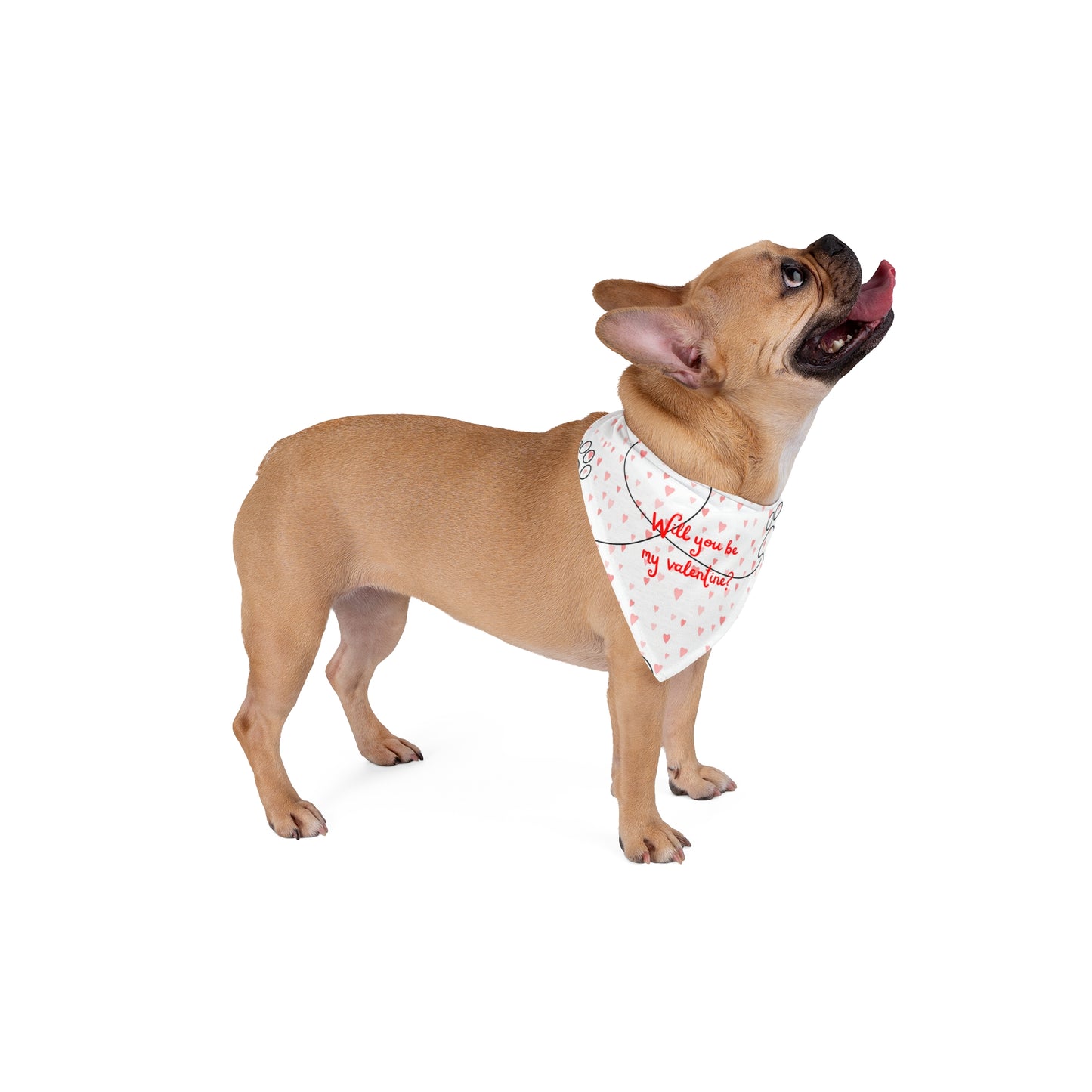 Valentine's Pet Bandana