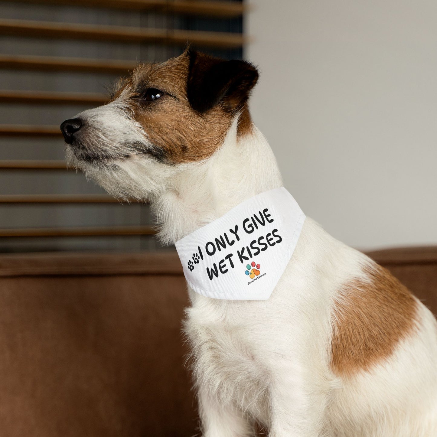 Pet Bandana Collar: 'I Only Give Wet Kisses'