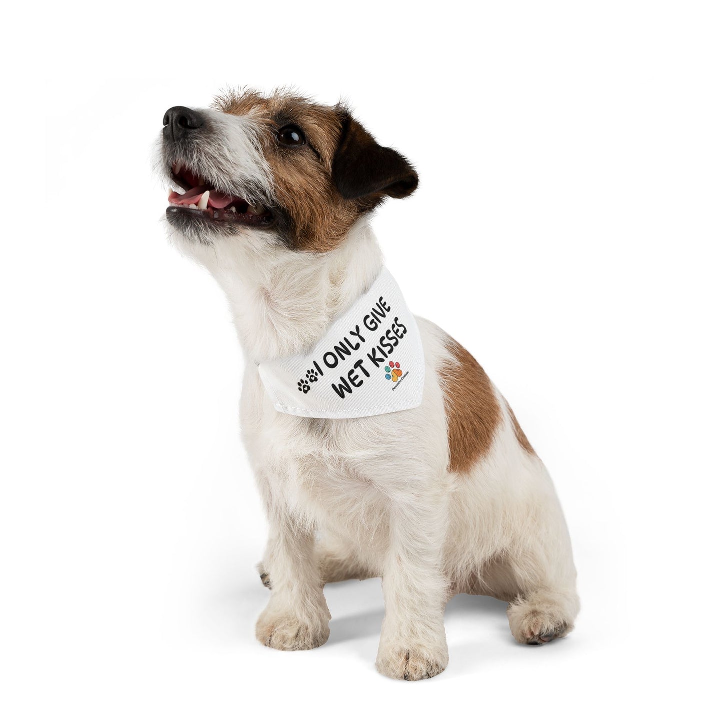 Pet Bandana Collar: 'I Only Give Wet Kisses'