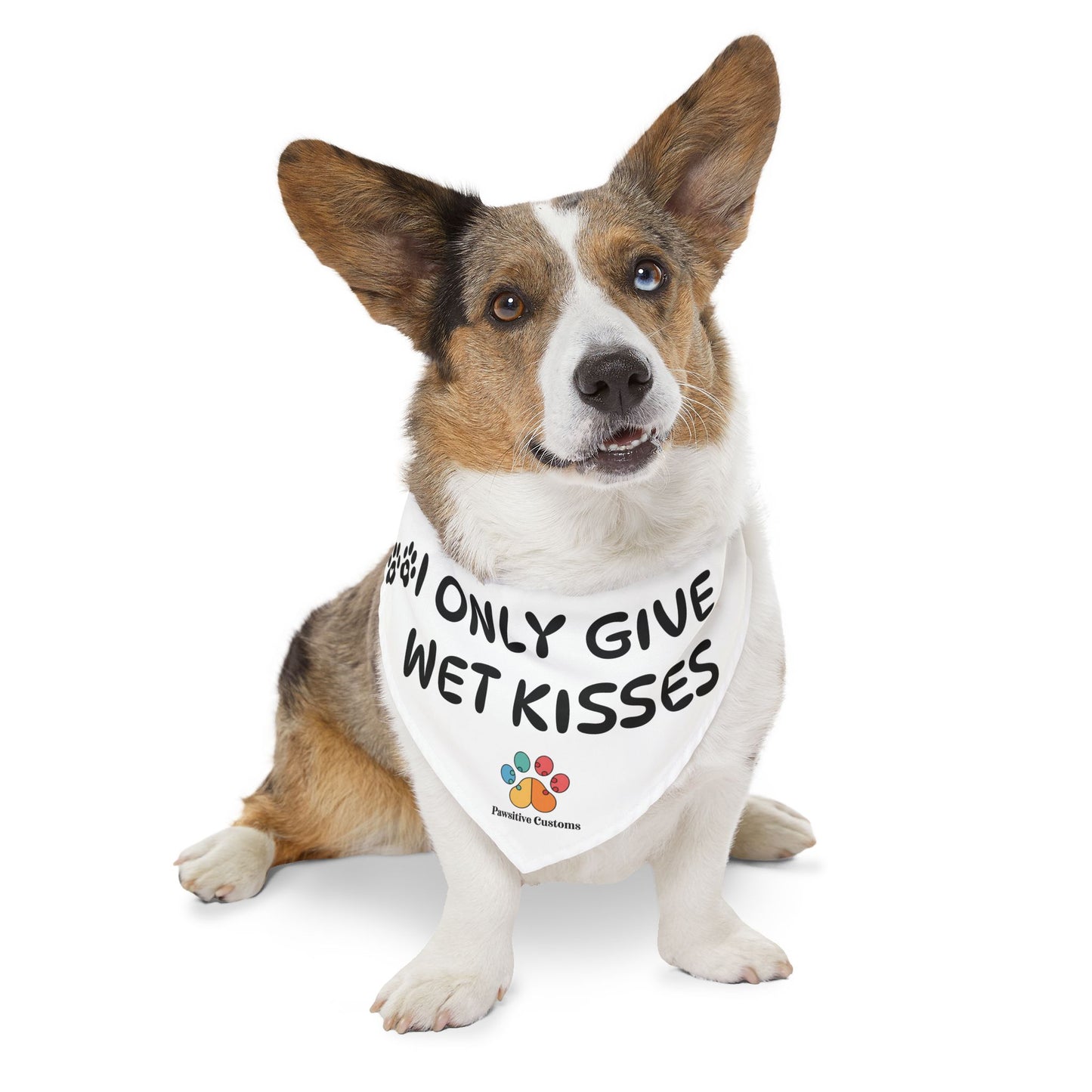 Pet Bandana Collar: 'I Only Give Wet Kisses'