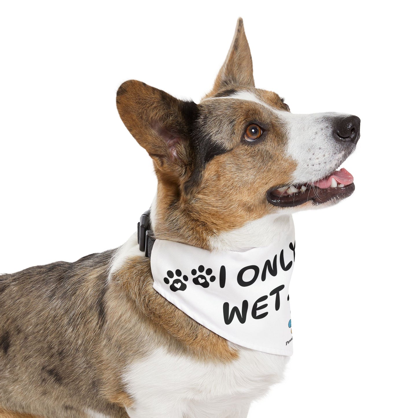 Pet Bandana Collar: 'I Only Give Wet Kisses'