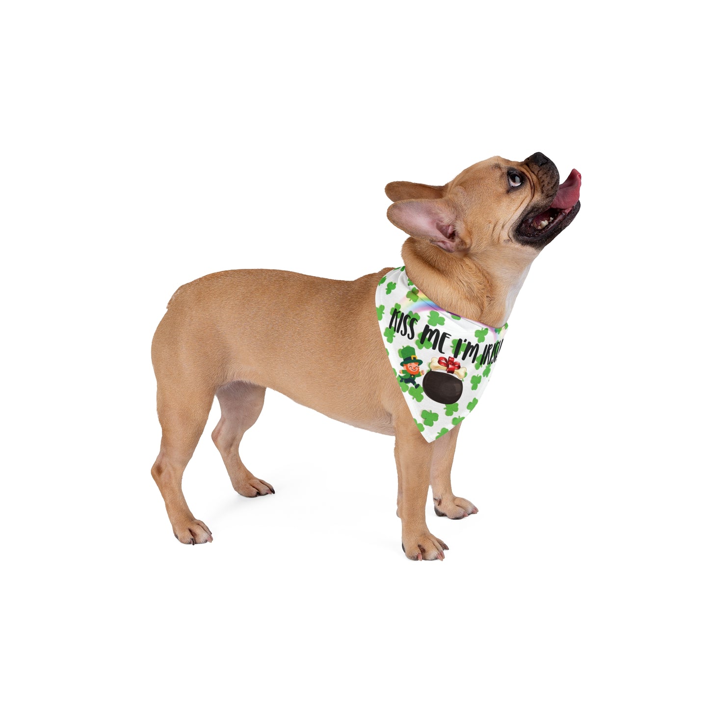 St Patrick's Day Pet Bandana