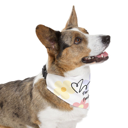 Flower Pet Bandana Collar